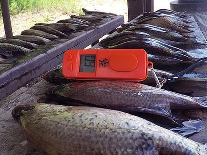 The Button Digital Fish Counter placed on freshly caught fish, displaying an accurate count. Perfect for tracking daily limits while fishing.